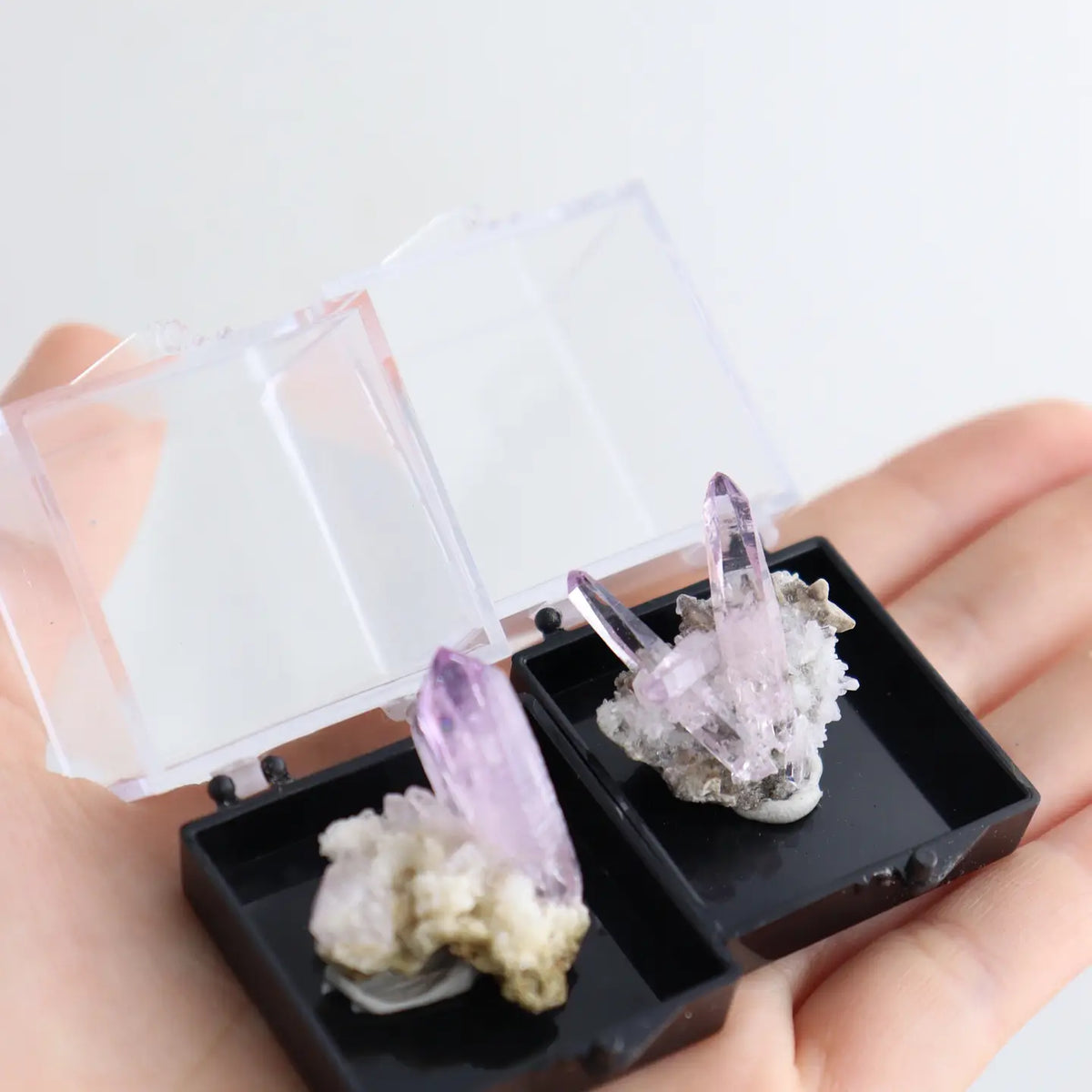 Vera Cruz Amethyst in Specimen Case