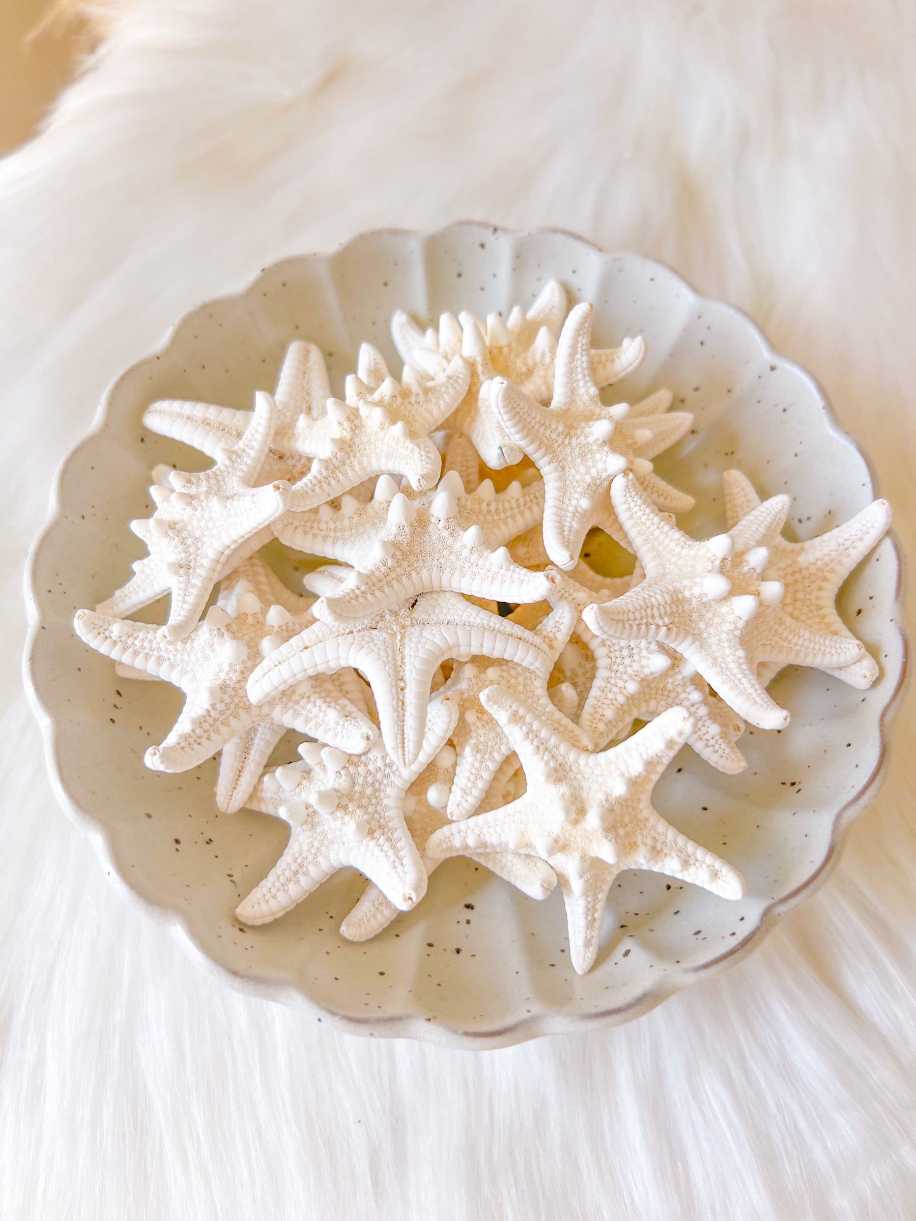 Small Starfish set of 3