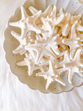 Small Starfish set of 3