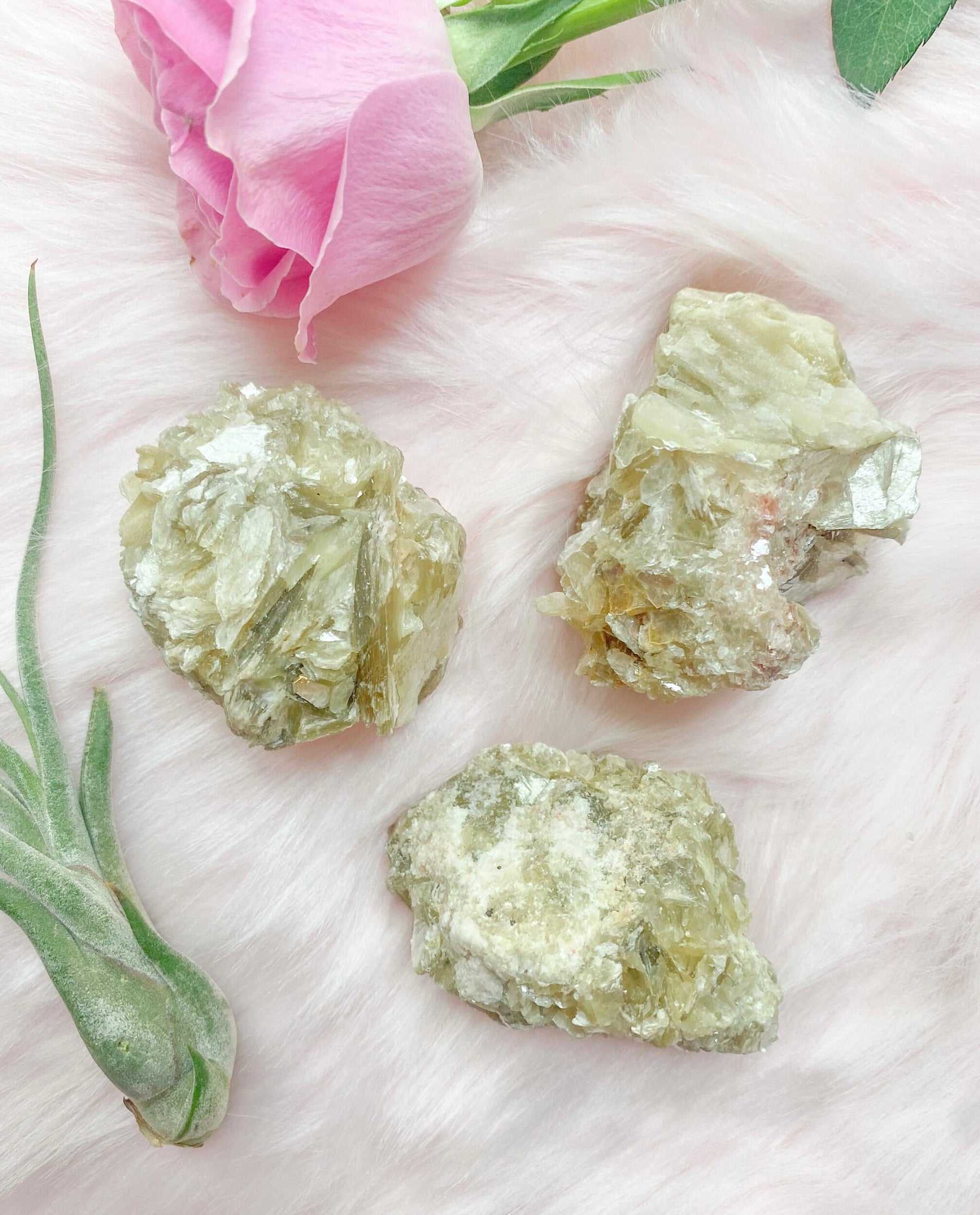 Star Muscovite