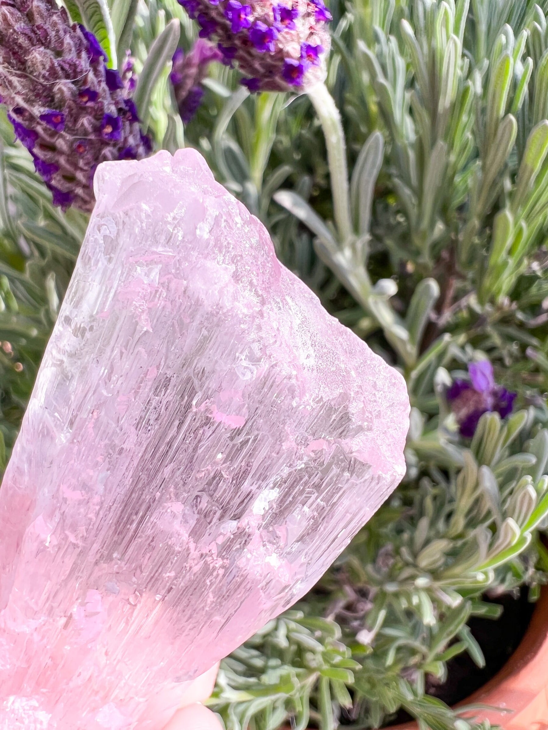 Fully Terminated Kunzite Crystal