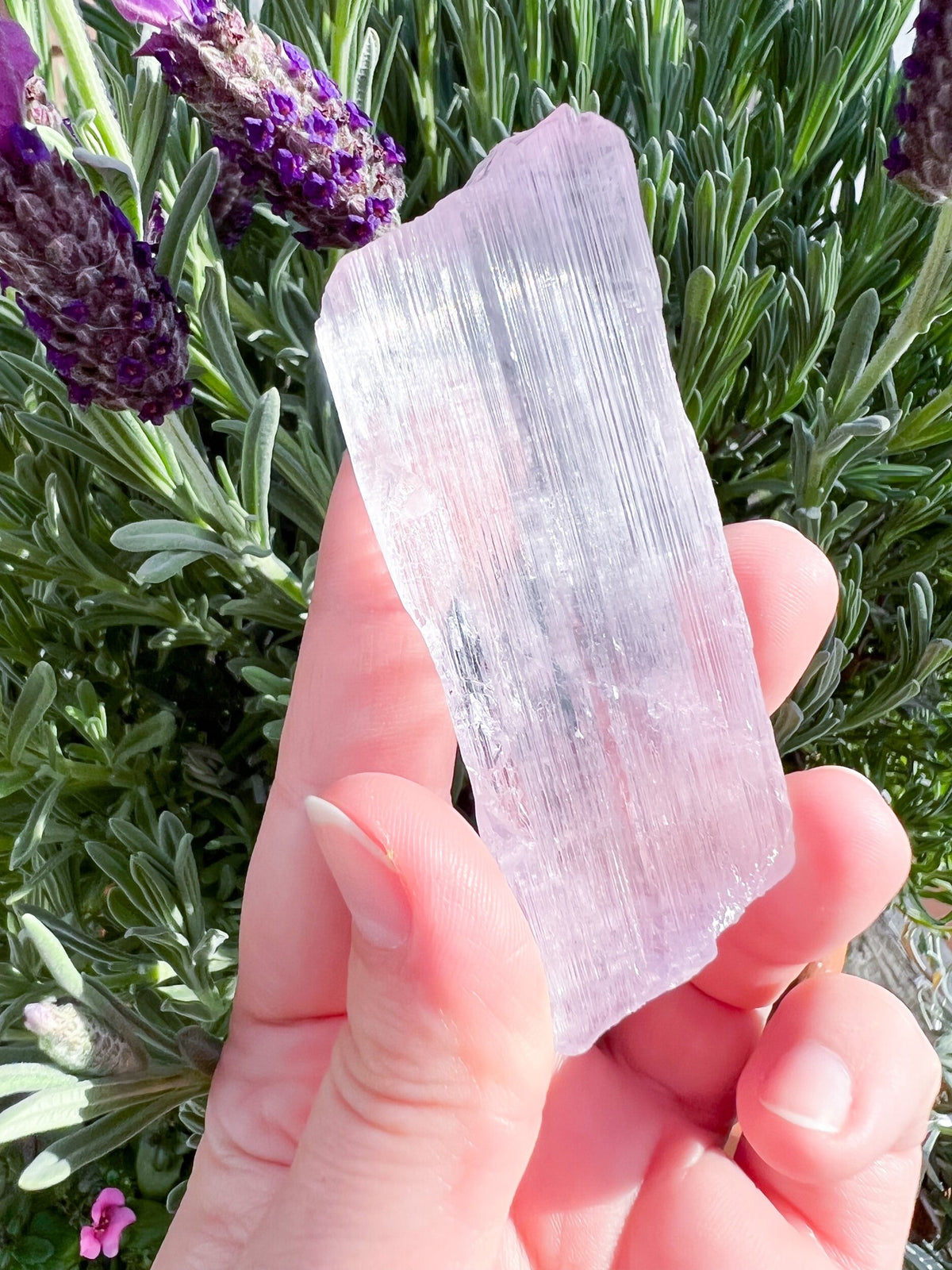 Fully Terminated Kunzite Crystal