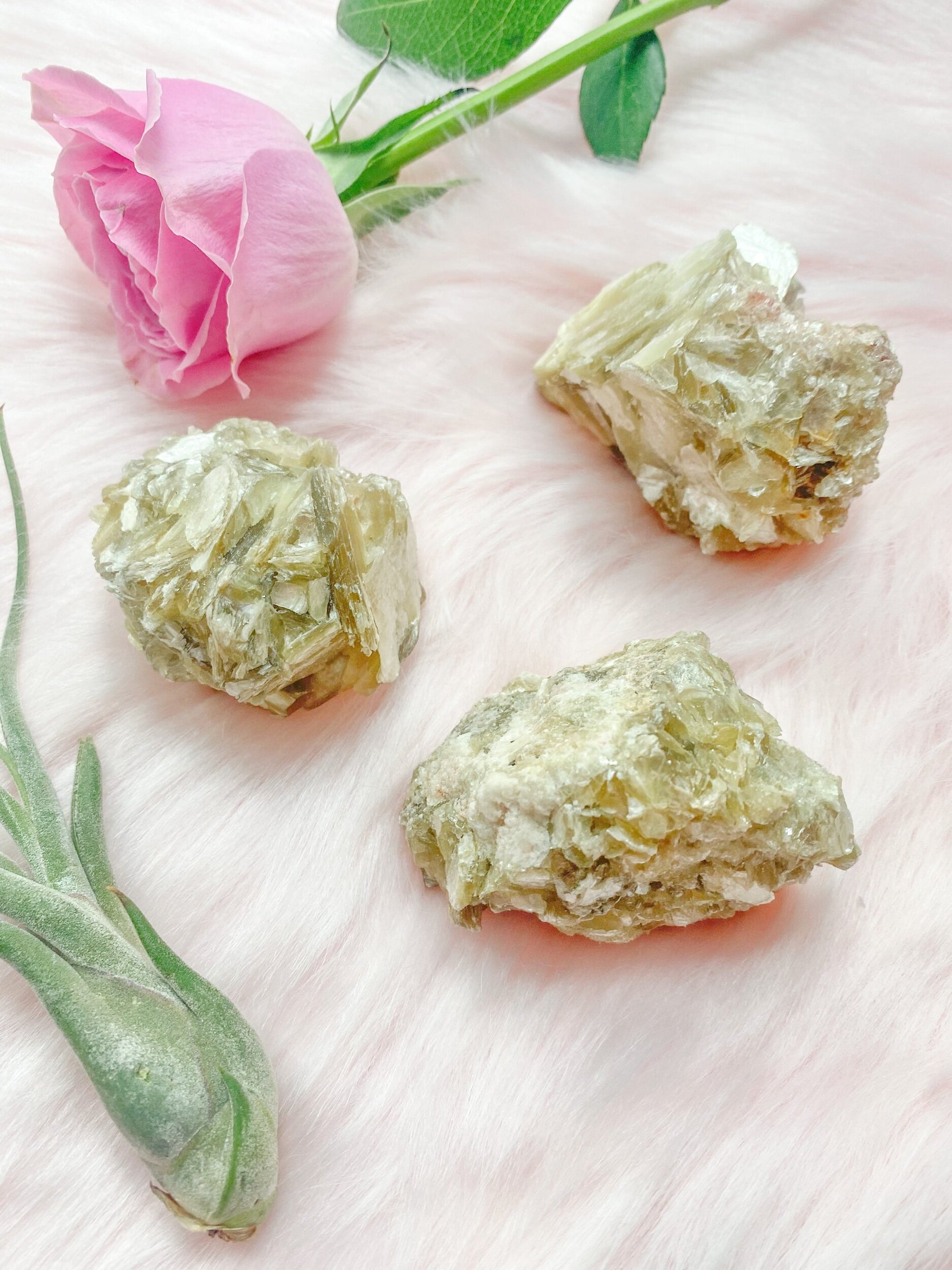 Star Muscovite