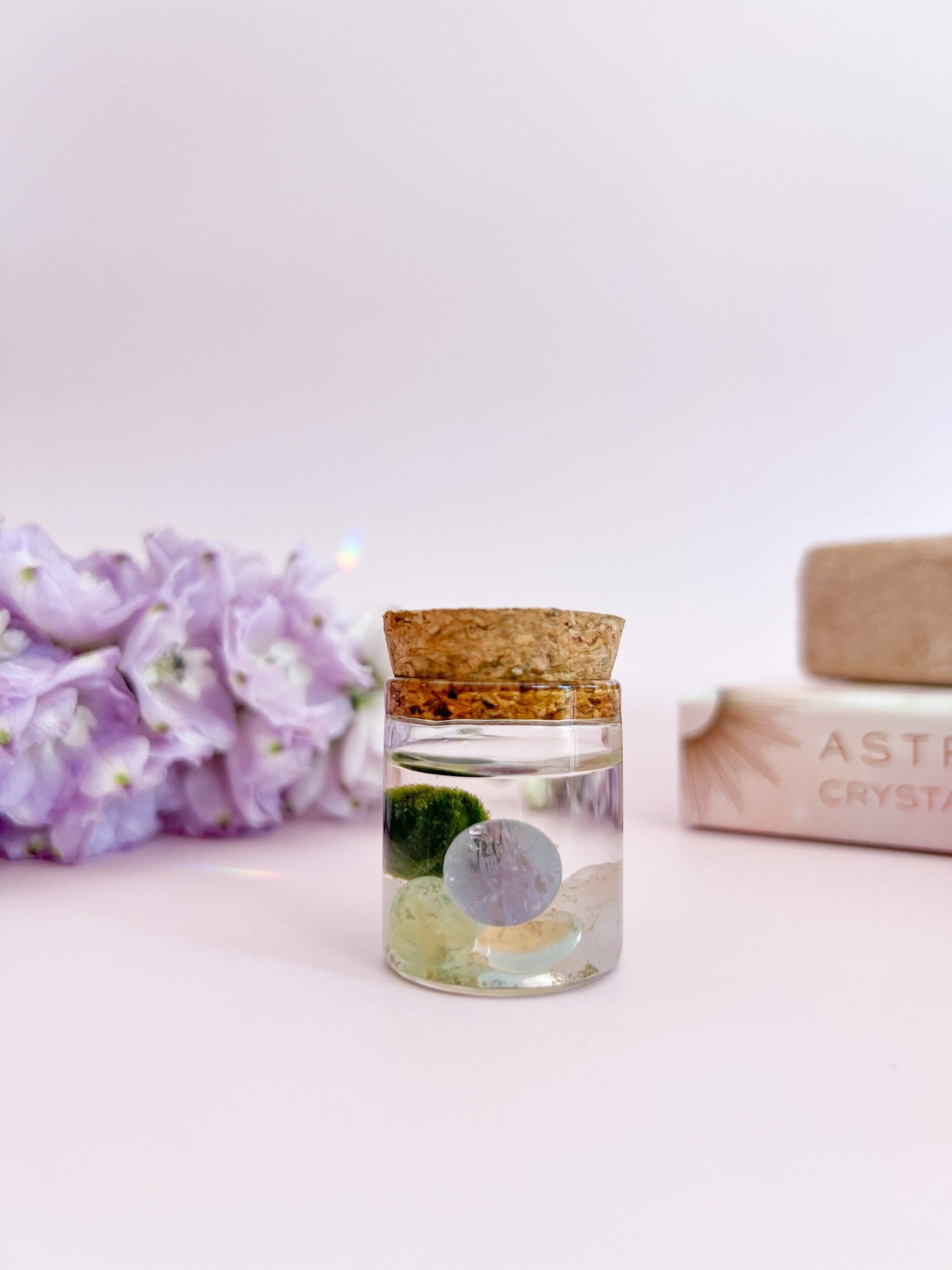 DIY Mini Water Fairy Crystal Garden