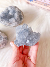 Celestite Cluster