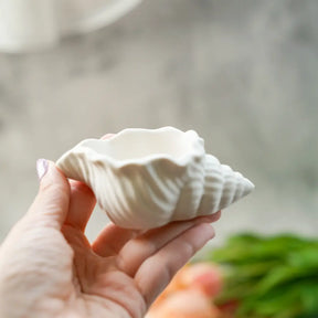 Shell Jewellery Dish